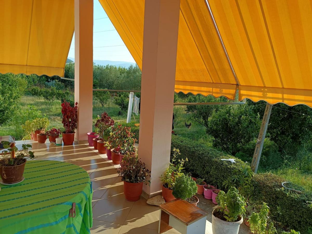 Guest House Fetie Berat Luaran gambar