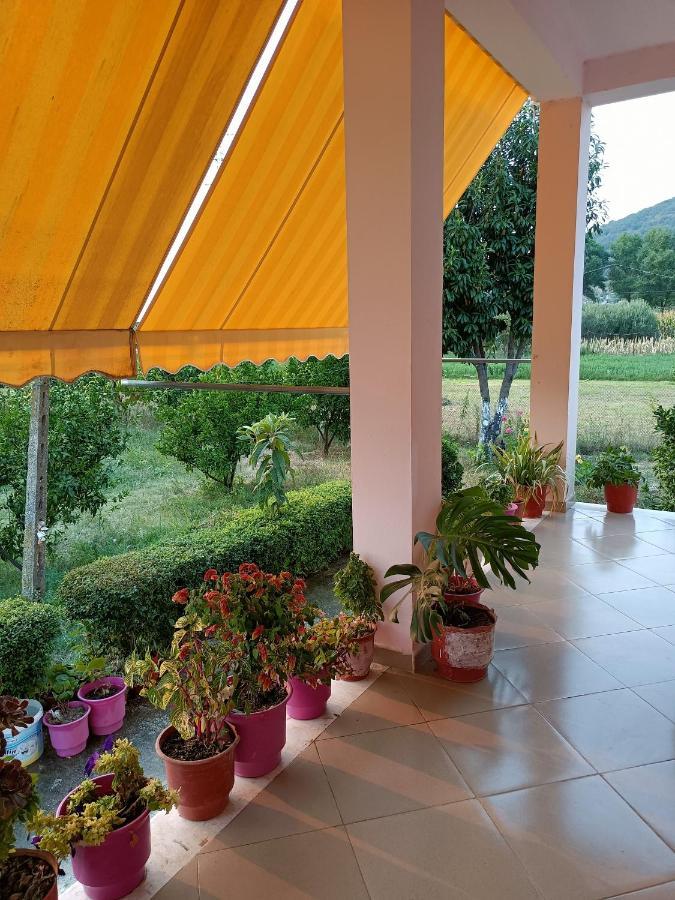 Guest House Fetie Berat Luaran gambar